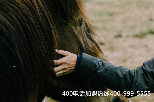 長春怎么申請(qǐng)400電話（長春39元代駕電話號(hào)碼）