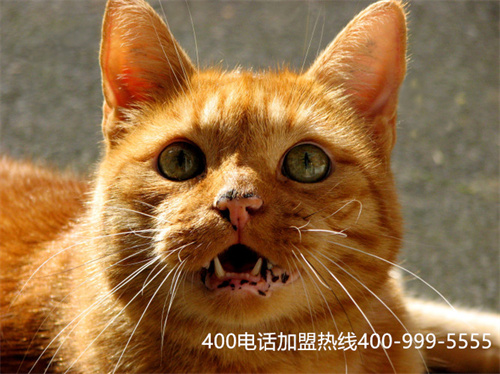 400電話辦理找信通網(wǎng)贏（美團24小時投訴電話）